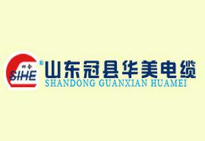 華(hua)美(mei)電纜
